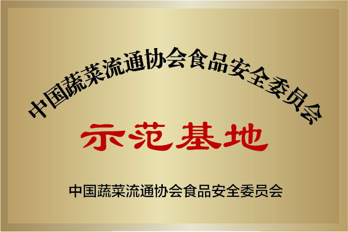 ʾ
