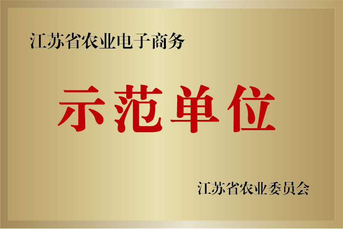 ʾ
